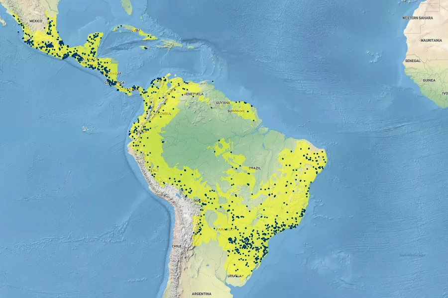 Amphilophium crucigerum Native Range