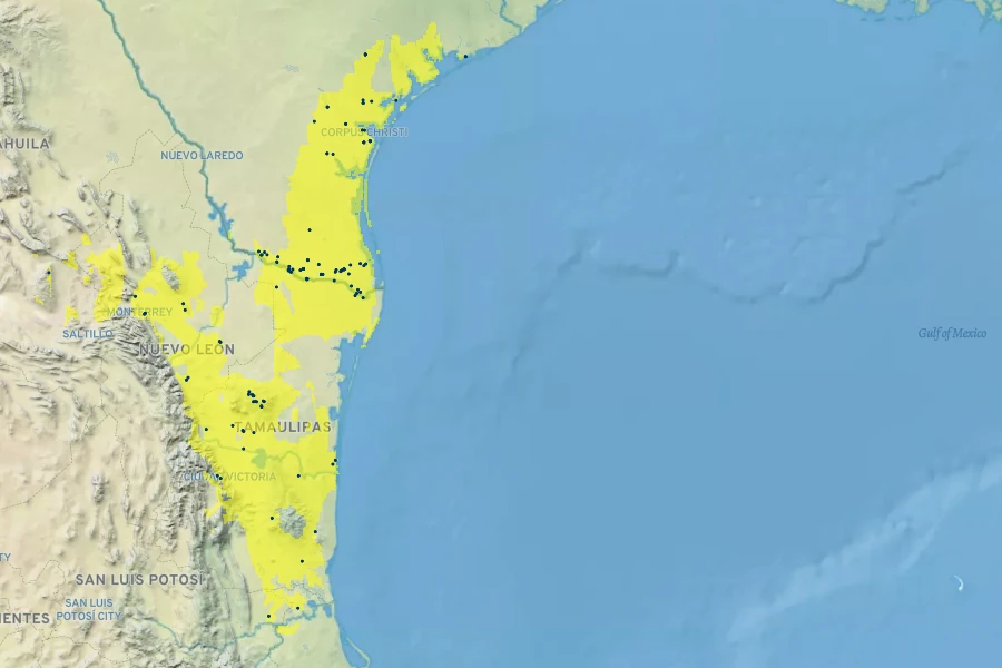 Amyris texana Native Range
