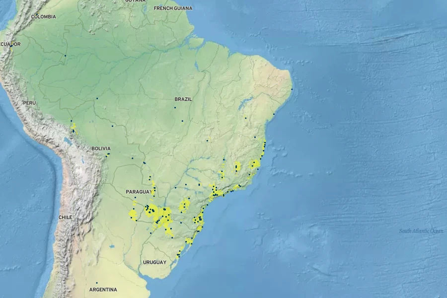 Ananas comosus var. bracteatus Native Range