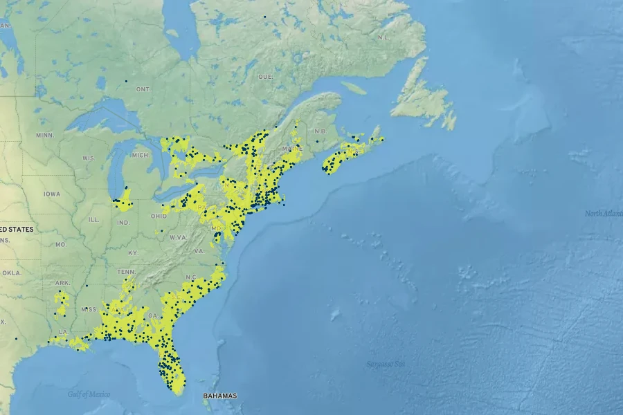 Anchistea virginica Native Range