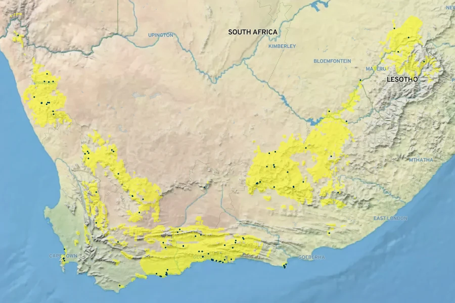Anchusa capensis Native Range