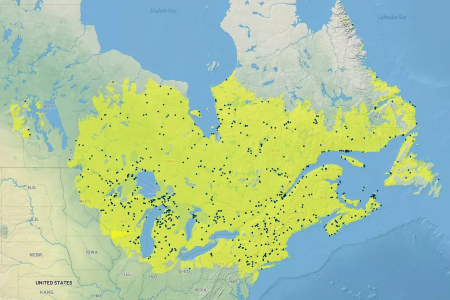 Andromeda glaucophylla Native Range