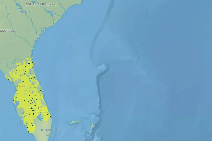 Andropogon brachystachyus Native Range