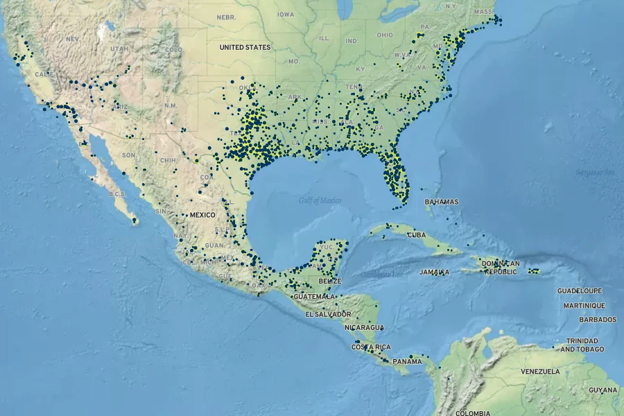 Andropogon glomeratus Native Range