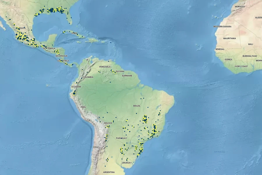 Andropogon tener Native Range