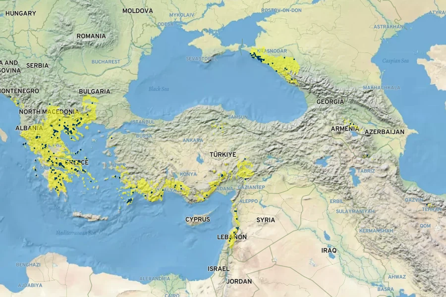 Anemone blanda Native Range