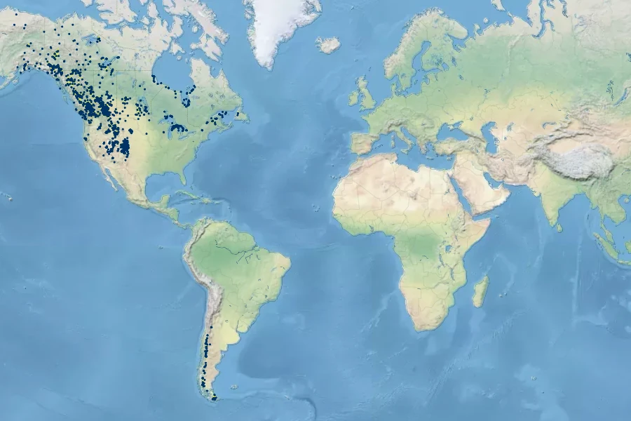 Anemone multifida Native Range