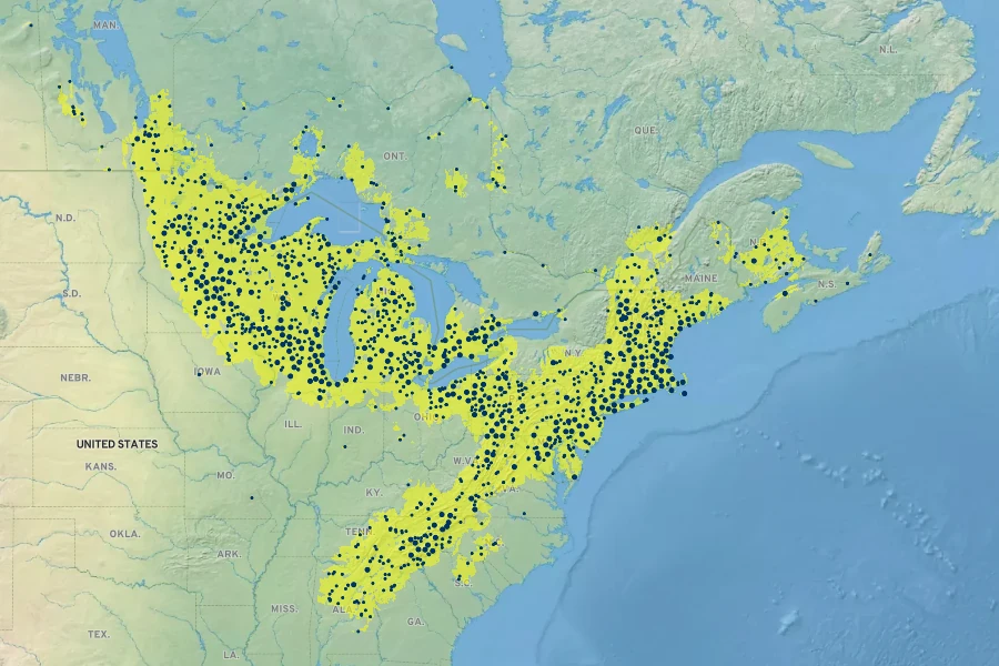 Anemone quinquefolia Native Range