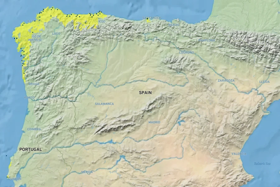 Angelica pachycarpa Native Range