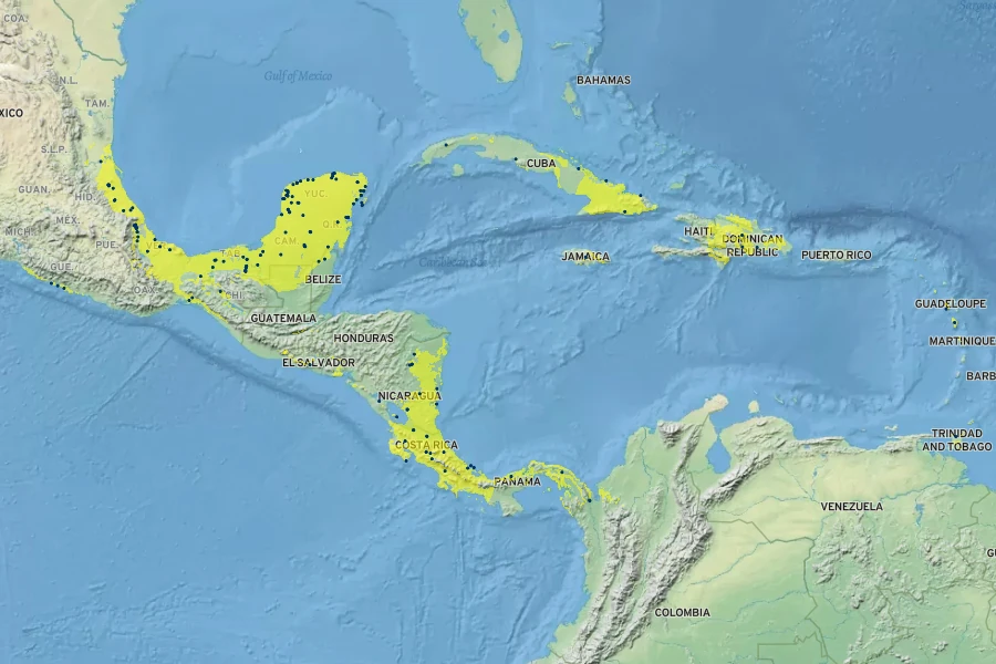 Angelonia angustifolia Native Range