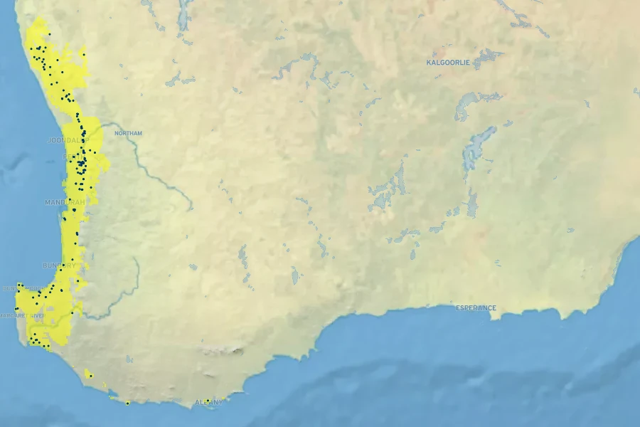 Anigozanthos viridis Native Range