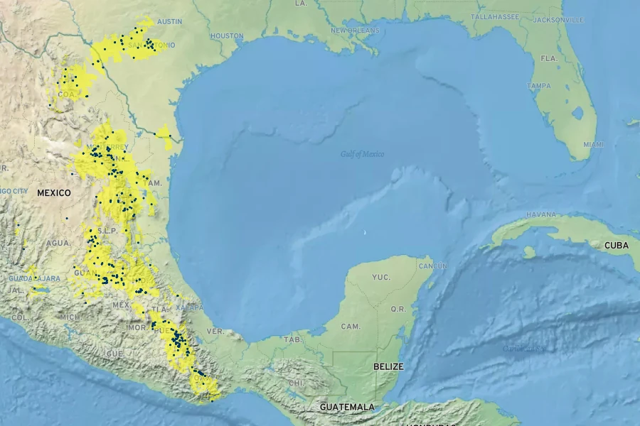 Anisacanthus quadrifidus Native Range