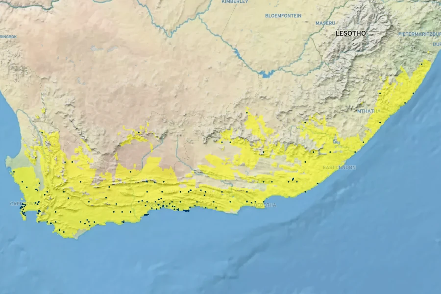 Anisodontea scabrosa Native Range