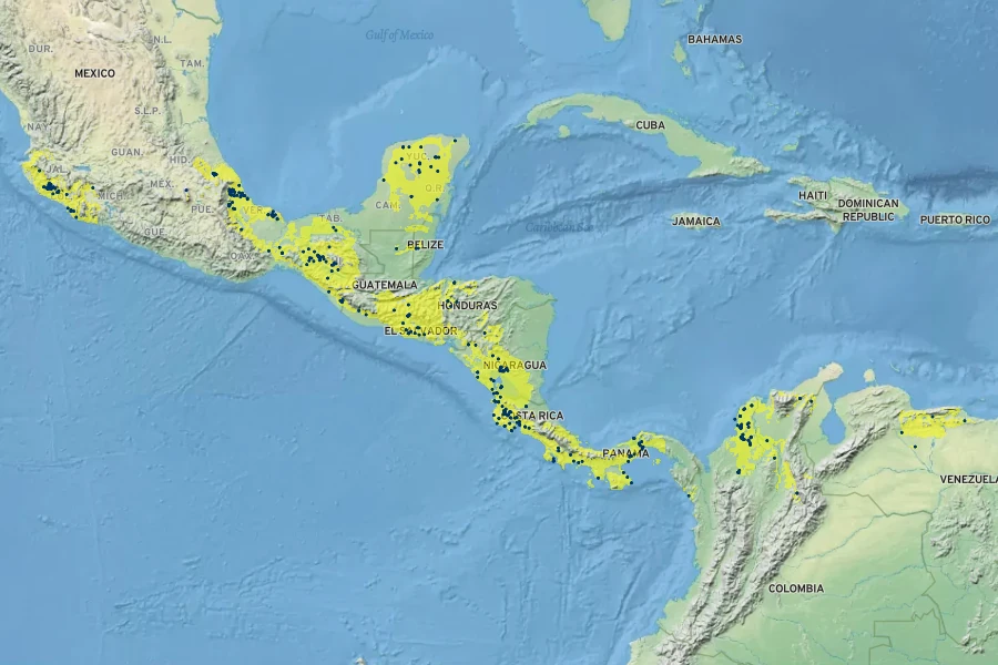 Annona purpurea Native Range