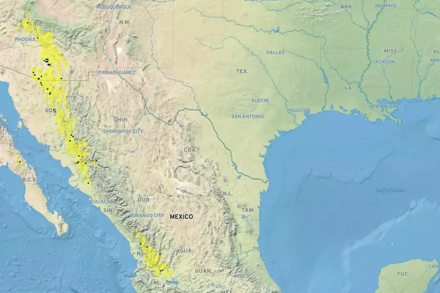 Anoda abutiloides Native Range