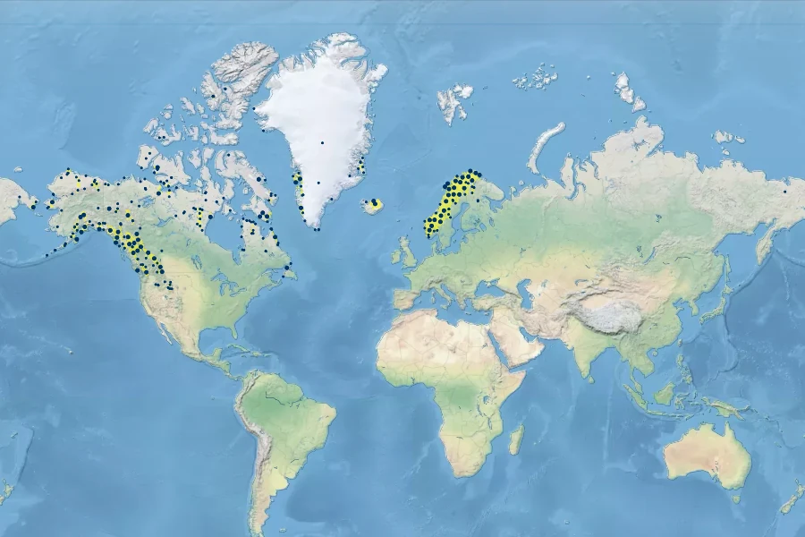 Antennaria alpina Native Range