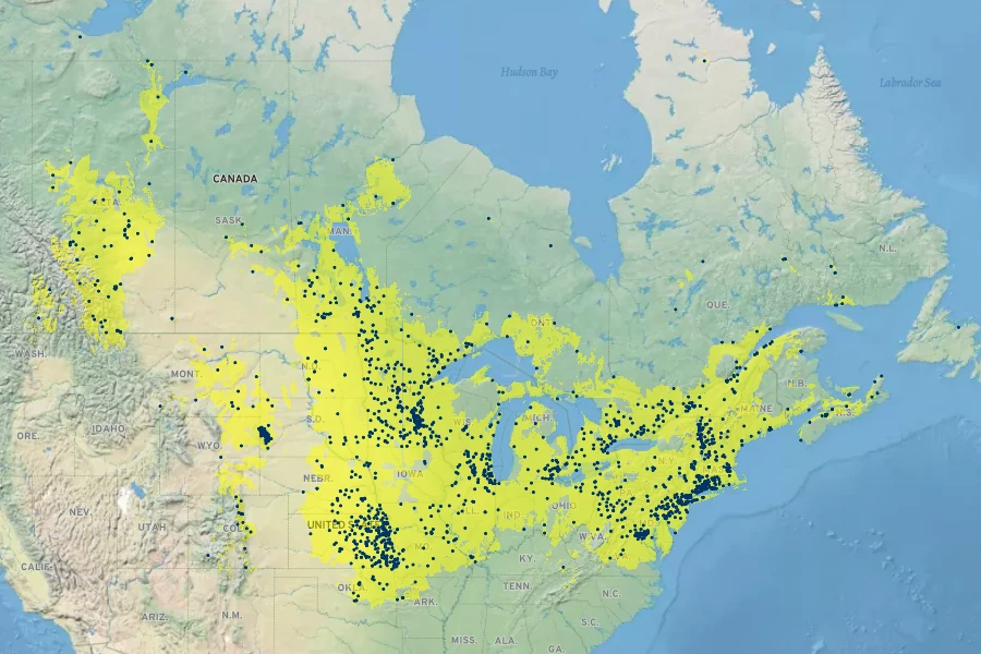 Antennaria neglecta Native Range