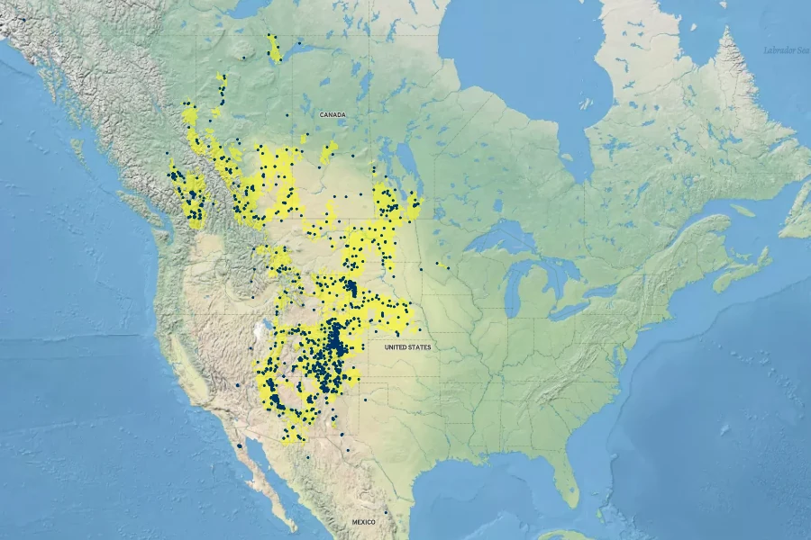 Antennaria parvifolia Native Range