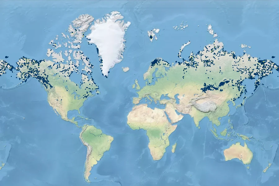 Anthoxanthum monticola Native Range