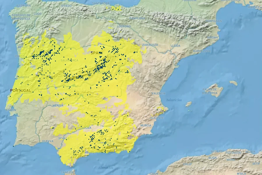 Antirrhinum graniticum Native Range