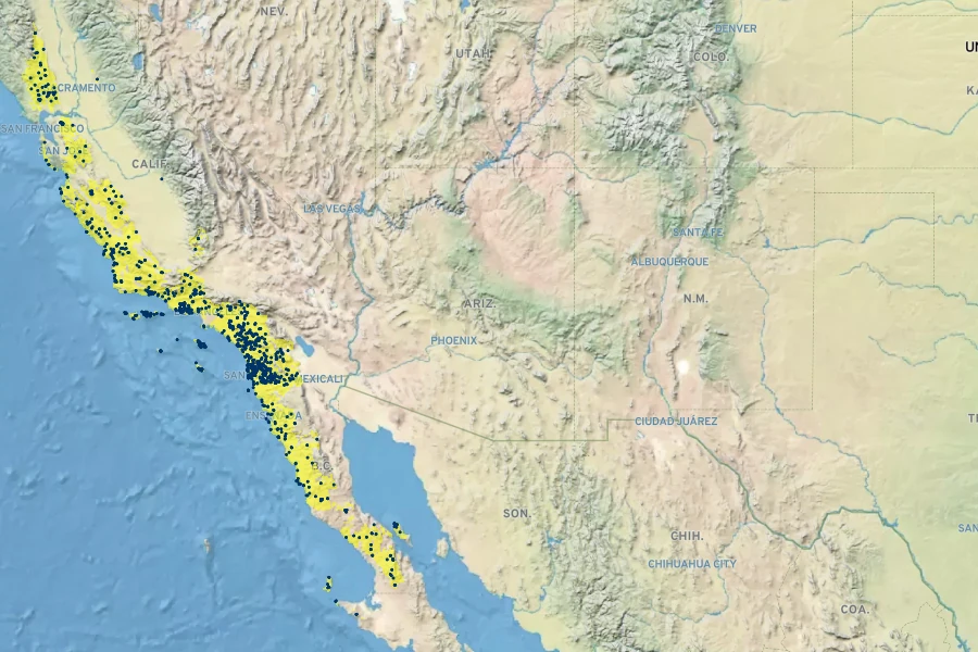 Apiastrum angustifolium Native Range