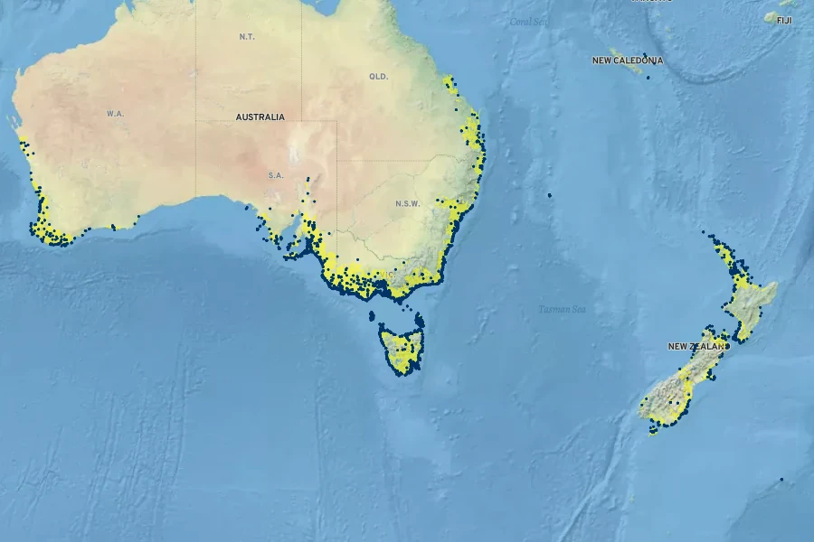Apium prostratum Native Range