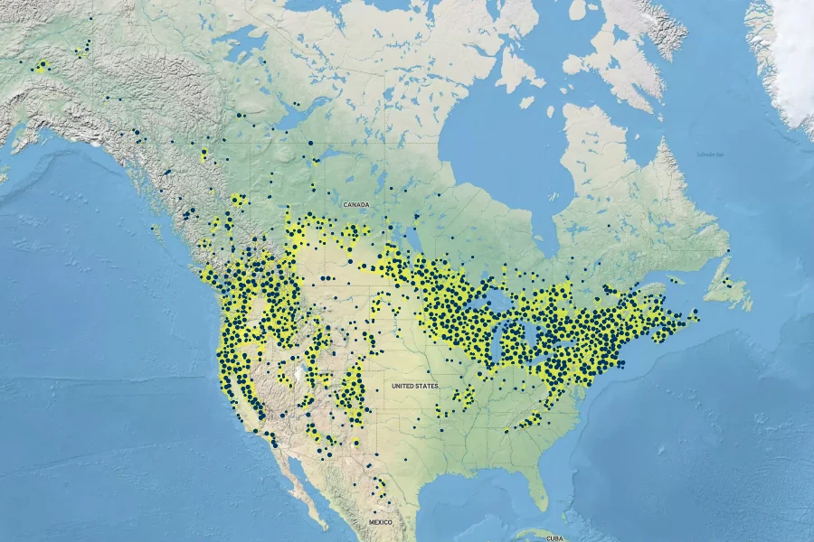 Apocynum androsaemifolium Native Range