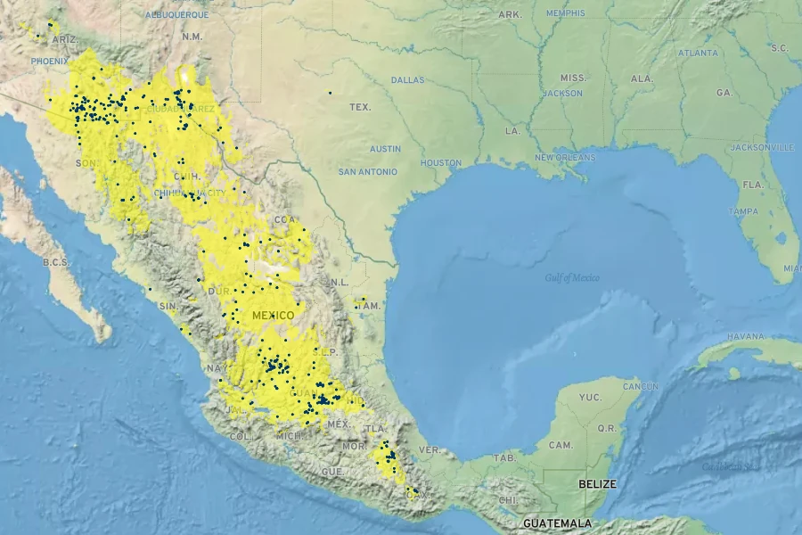 Apodanthera undulata Native Range