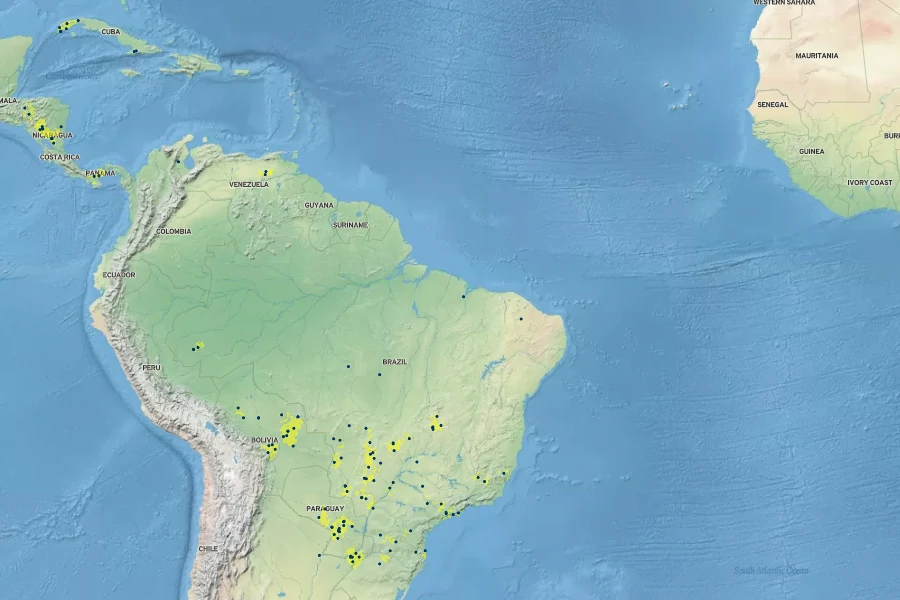 Aquarius floribundus Native Range