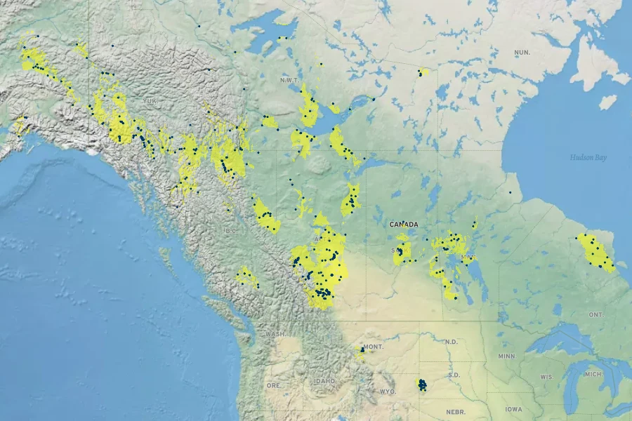 Aquilegia brevistyla Native Range