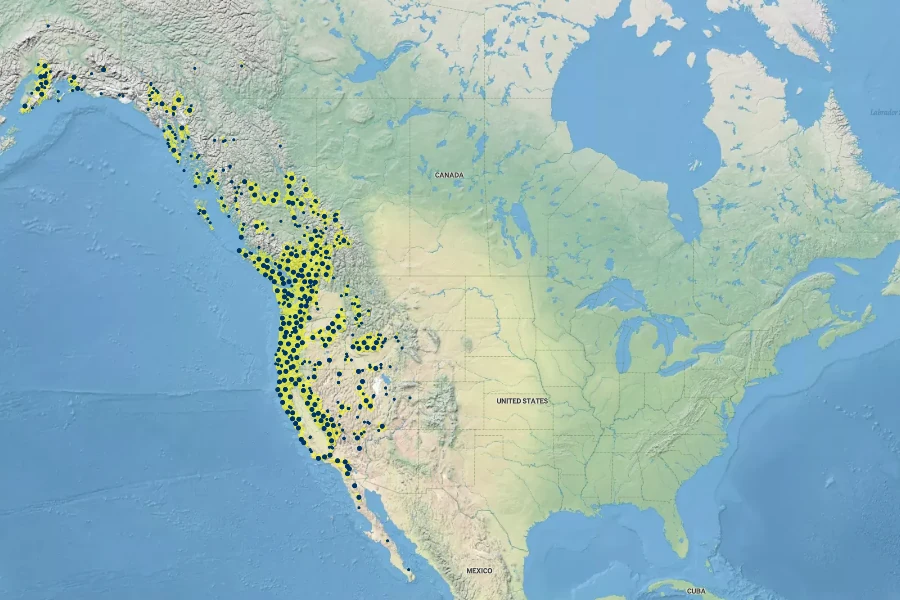 Aquilegia formosa Native Range