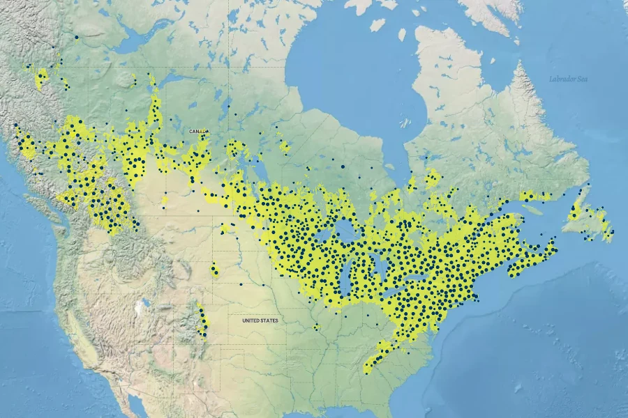 Aralia nudicaulis Native Range