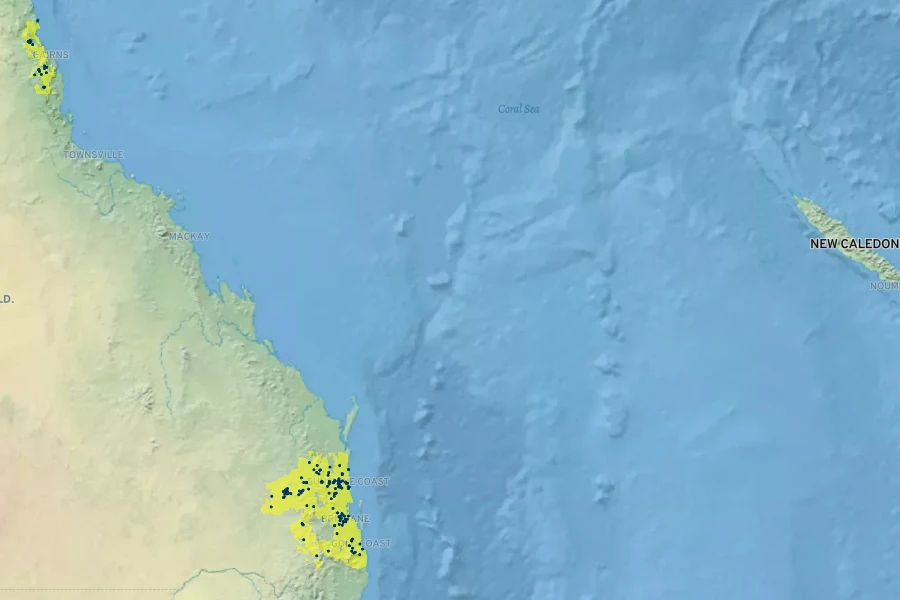 Araucaria bidwillii Native Range