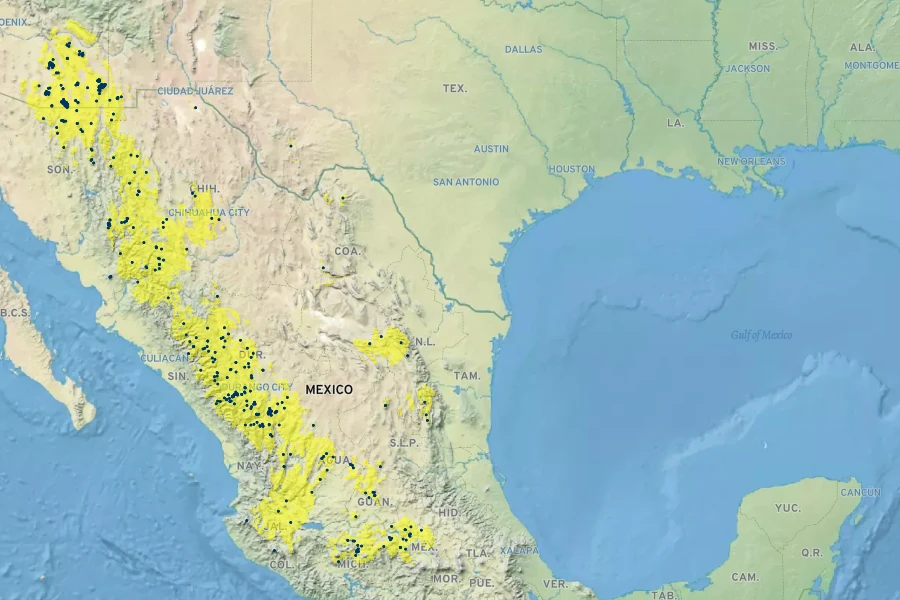 Arbutus arizonica Native Range