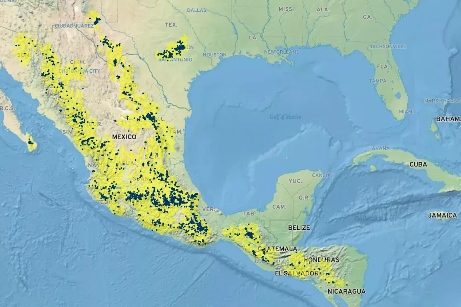 Arbutus xalapensis Native Range