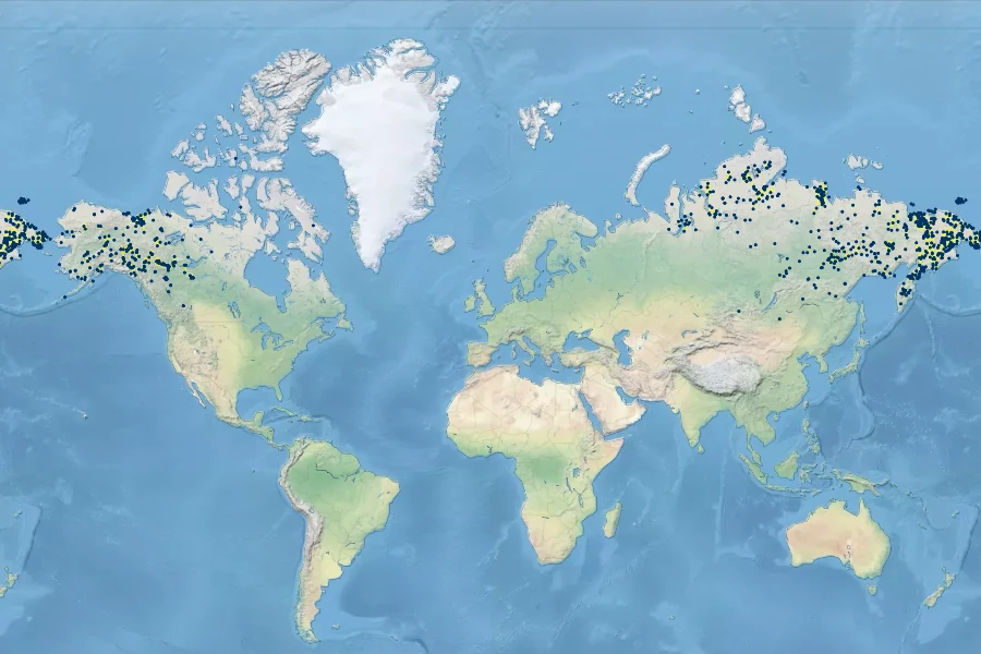 Arctagrostis arundinacea Native Range