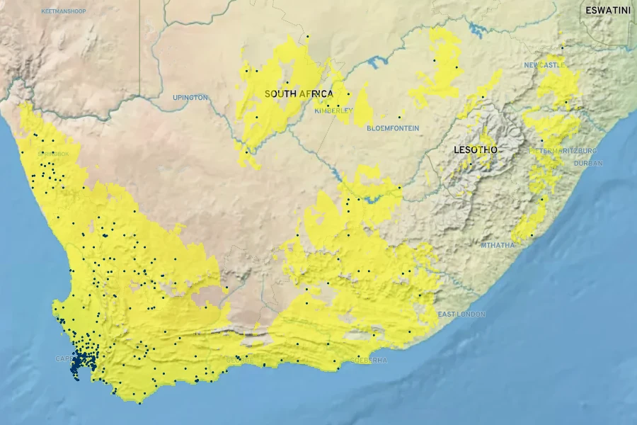 Arctotheca calendula Native Range