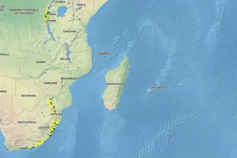 Aristea ecklonii Native Range