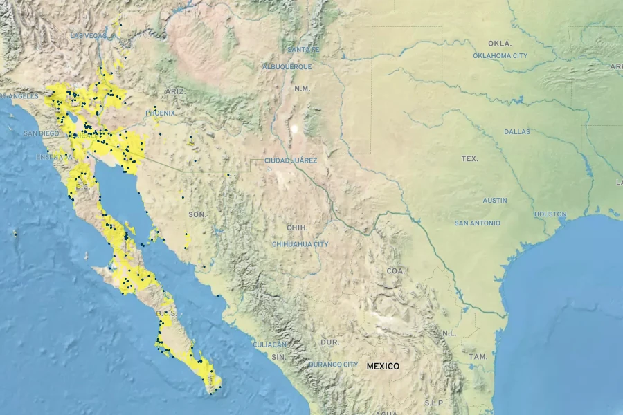 Aristida californica Native Range