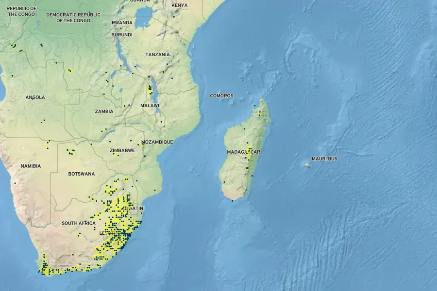 Aristida junciformis Native Range