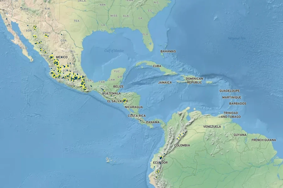 Aristida laxa Native Range