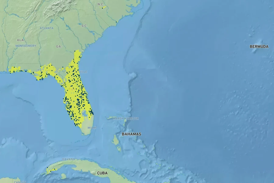 Aristida spiciformis Native Range
