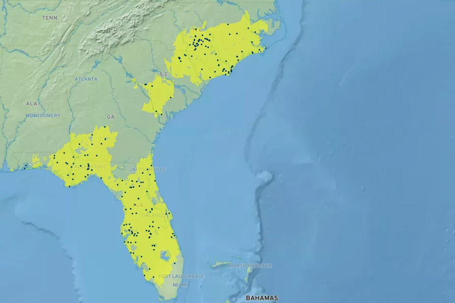 Aristida stricta Native Range