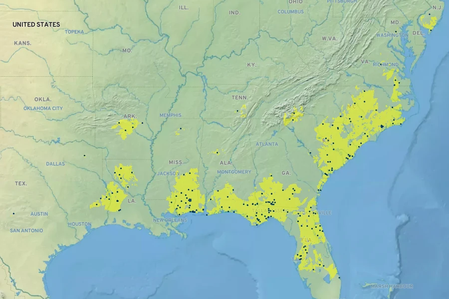 Aristida virgata Native Range