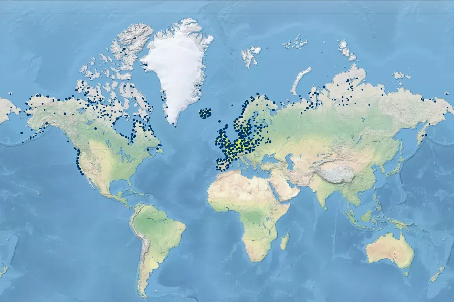 Armeria maritima Native Range