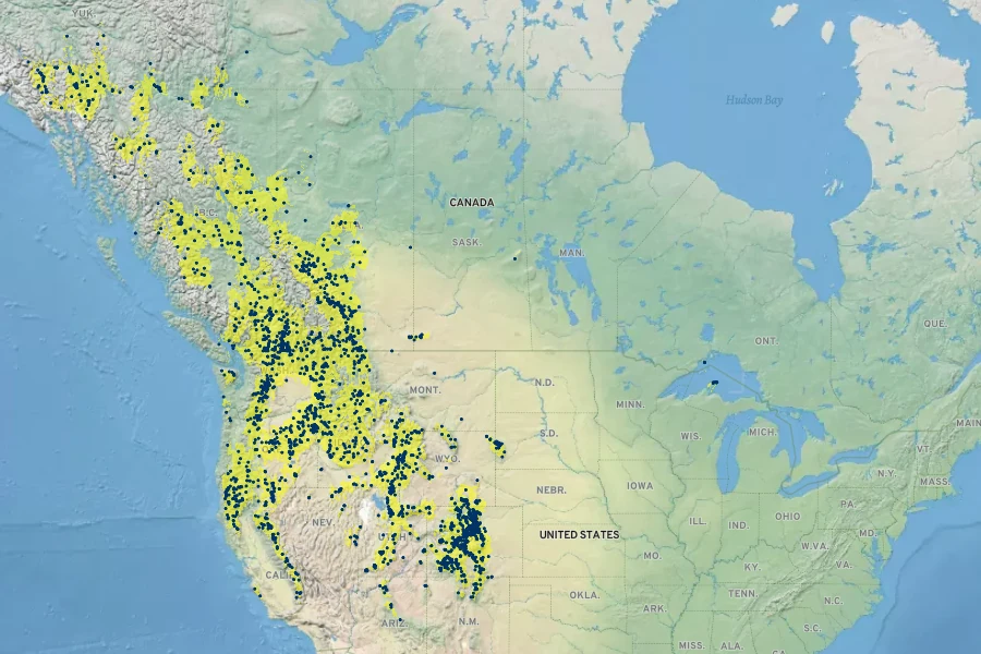 Arnica cordifolia Native Range