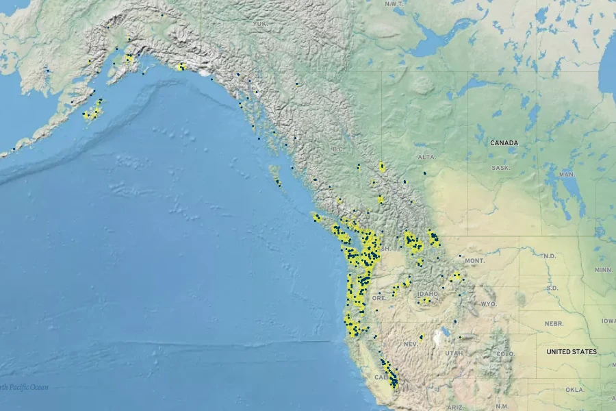 Arnica lanceolata subsp. prima Native Range