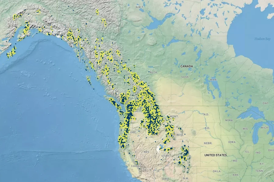 Arnica latifolia Native Range