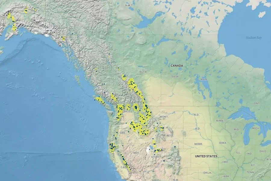 Arnica ovata Native Range