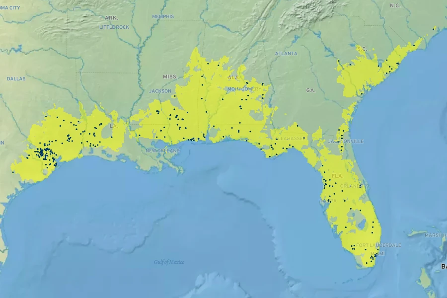 Arnoglossum ovatum Native Range